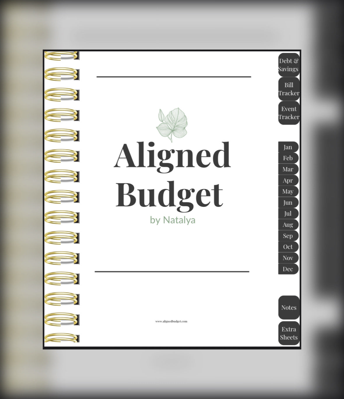 Aligned Budget Systems