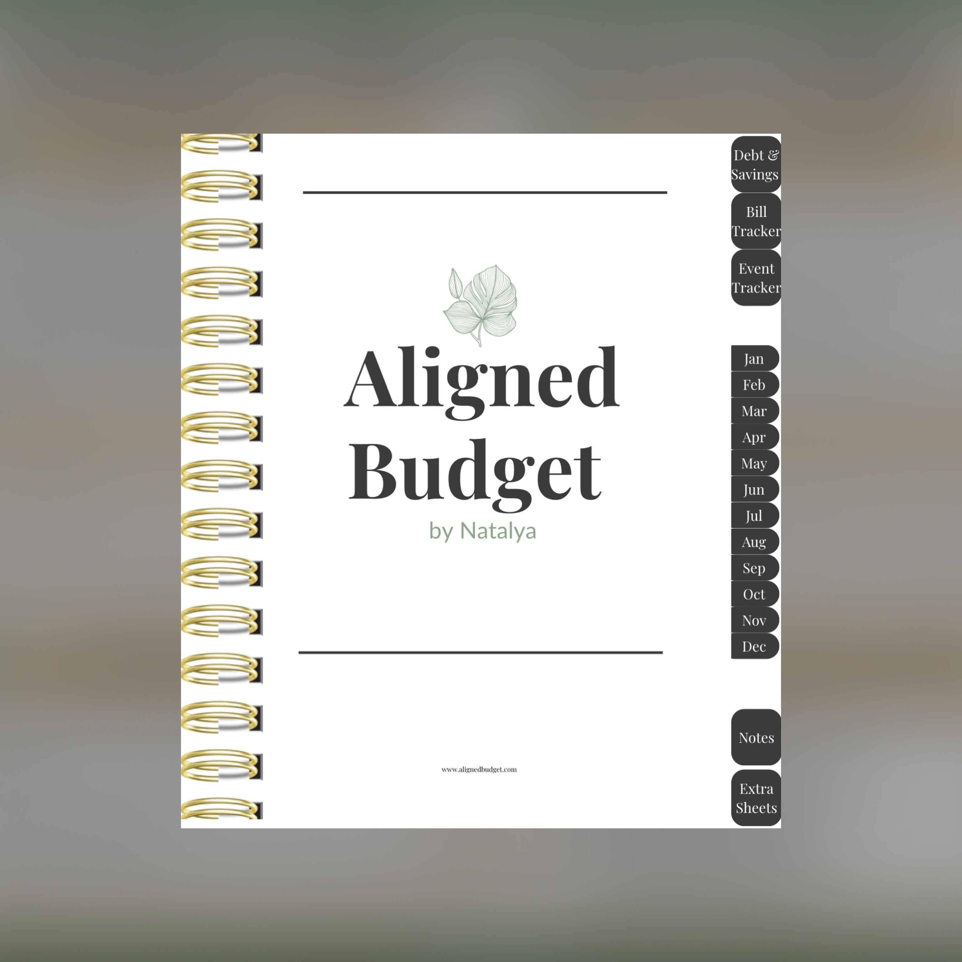 Digital Budget Bundle (Tablet PDF – GoodNotes, Notability)